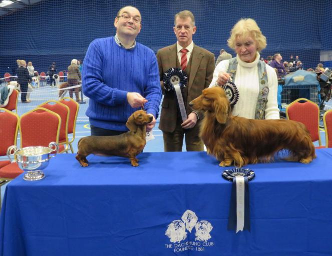 Dachshund westminster store dog show 2018